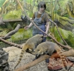Зоолог Екатерина Мельникова готовит развлечения для носух